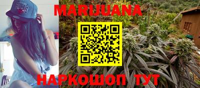 Альфа ПВП Севастополь
