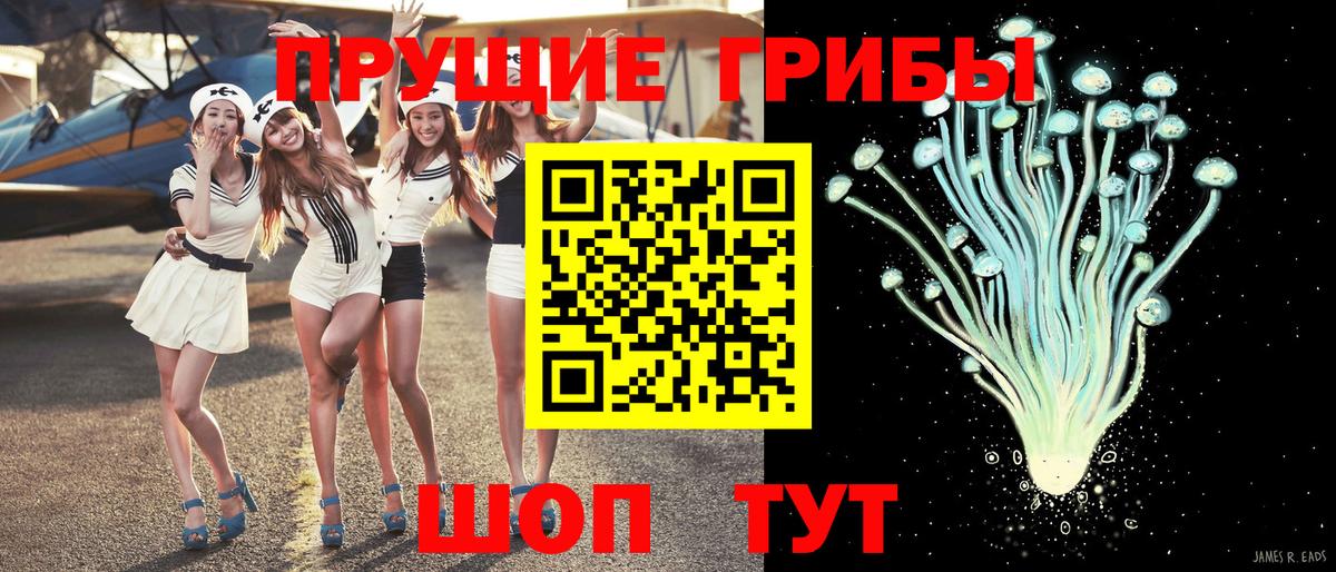 Мончегорск  Псилоцибиновые грибы MAGIC MUSHROOMS  Вход с VPN 